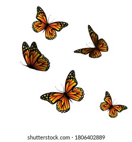 Flying orange butterflies. Vector illustration