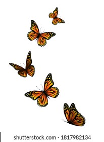 Flying orange butterflies. Vector illustration