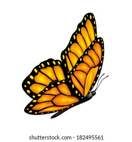 Flying orange butterfly and shadow isolated on a white background, illustration.