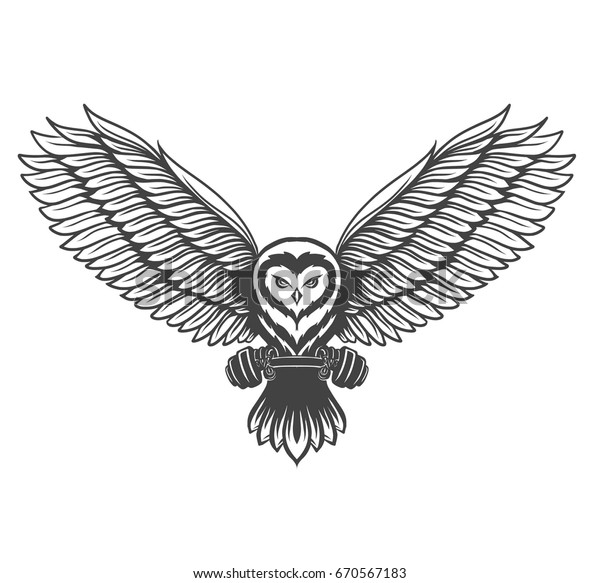 Flying Owl Attacking Pose Barbell Hand Stock Vector (Royalty Free ...