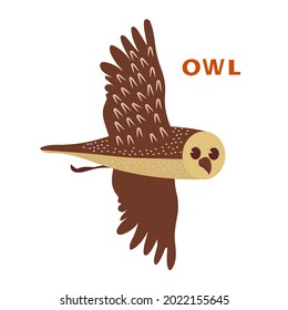 Flying owl bird with text name. Cute animal. Vector cartoon color image.
