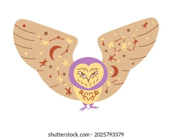 Flying owl hand drawn vector illustration. Mystic owl illustration with stars for kids on white