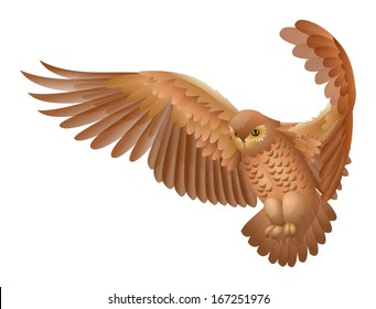 Flying owl isolated