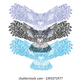 
Flying owl with large wings. Dudling painting, dudling, meditation. The bird spread its wings.