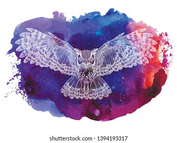 
Flying owl with large wings. Dudling painting, dudling, meditation. The bird spread its wings.