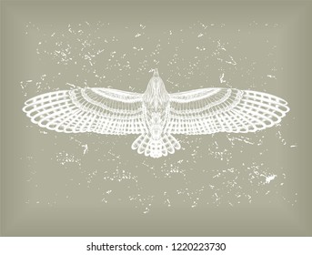 Flying owl on the grey background. Engraved eagle. Vector isolated illustration. Sketch of tattoo art. 