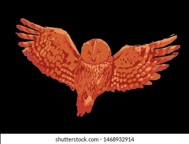 Flying owl with open wings isolated on black background. Vector illustration drawn with rough brush in warm colors