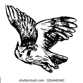 Flying owl single doodle. Simple vector hand drawn illustration. Bird animal drawing isolated on white. Black ink contour sketch element for halloween design, print, card, decoration, poster, sticker.