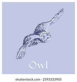 Flying Owl Sketch Illustration vector