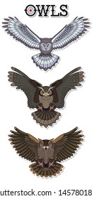 Flying Owls Vector Drawing, Tattoo Designs, Emblems, Logos