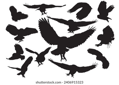 Flying owls. Vector images. White background. 