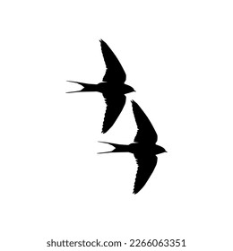 Flying Pair of the Swallow Bird Silhouette for Logo, Pictogram, Website. Art Illustration or Graphic Design Element. Vector Illustration