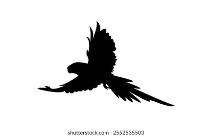 Flying Parakeet Bird Silhouette Design  And Vector Illustration. 