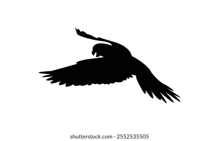 Flying Parakeet Bird Silhouette Design  And Vector Illustration. 