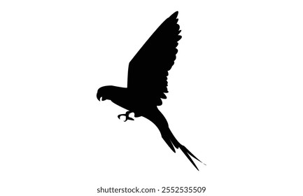 Flying Parakeet Bird Silhouette Design  And Vector Illustration. 