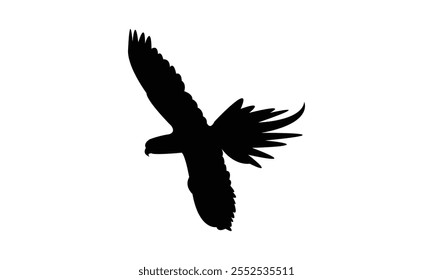 Flying Parakeet Bird Silhouette Design  And Vector Illustration. 