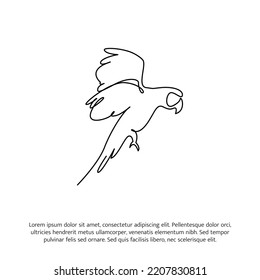 Flying parrot bird one continuous line drawing. Cute decoration hand drawn elements. Vector illustration of minimalist style on a white background.