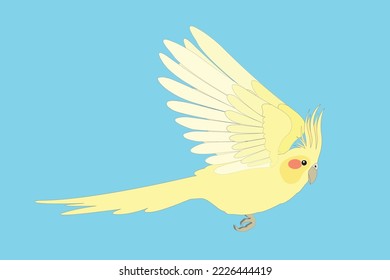 Flying parrot cockatiel bird in blue sky