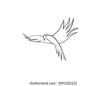 flying parrot line art vector illustration