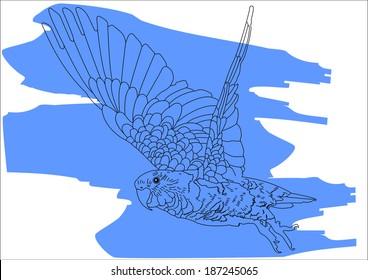 flying parrot on a blue background, vector graphic drawing 
