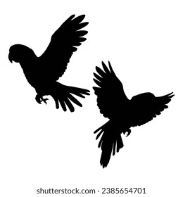 Flying Parrot Silhouette on a Clean White Background.