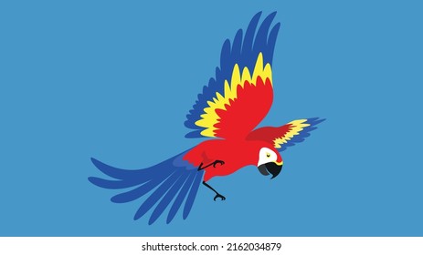 Flying parrot spread its wings