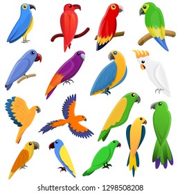 Flying parrot vector icons set. Cartoon set of flying parrot vector icons for web design