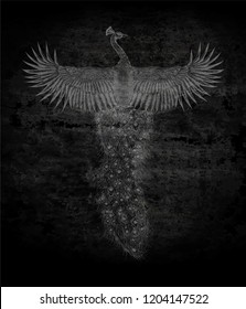 Flying peacock on the grunge background. Hand drawn bird.To be used for design card of tattoo salon.Print for t shirt.Rock pattern.Grey Phoenix on the dark background.sketch for tattoo.rock-painting
