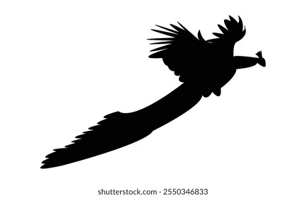 Flying Peacock Silhouette Design  And Vector Illustration. 