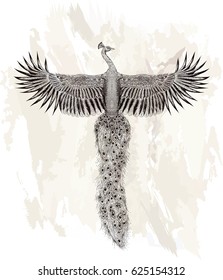 Flying peafowl.Tattoo art. Vector isolated illustration. Grunge background.
