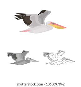 Flying pelican colored, line and monochrome icon set vector concept