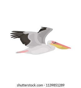 Flying pelican high quality color icon