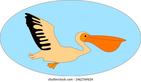 Flying pelican. illustration. vector on white background.