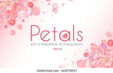Flying petals abstract background with blossom peony flower. Cosmetics, wedding and fashion background. Soft romagic blooming wind.