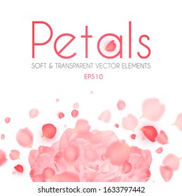 Flying petals abstract background with blossom peony flower. Cosmetics, wedding and fashion background. Soft romagic blooming wind.