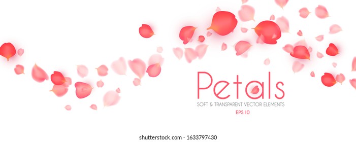 Flying petals abstract background. Cosmetics, wedding and fashion background. Soft romagic blooming wind.
