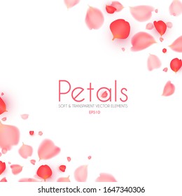Flying petals abstract background. Cosmetics, wedding and fashion background. Soft romagic blooming wind.