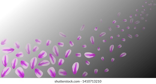  Flying petals. Bright spring background with colored petals. Simple gentle template for the card, invitation, printing. Fashionable decoration with beautiful petals. Abstract background