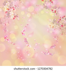 Flying petals on spring background. Flowers and petals in the wind. Vector background with plum or cherry blossom