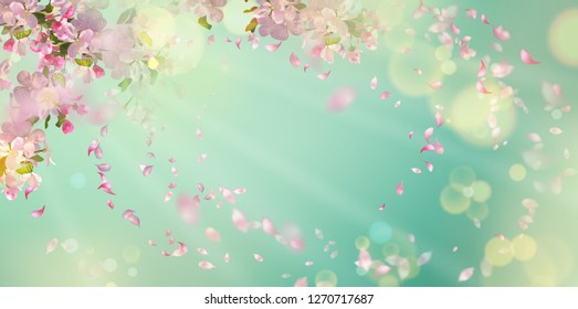 Flying petals on spring background. Flowers and petals in the wind. Vector background with plum or cherry blossom