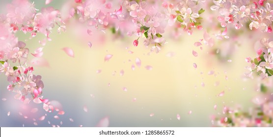 Flying petals on spring background. Flowers and petals in the wind. Vector background with plum or cherry blossom. Hanging flowers