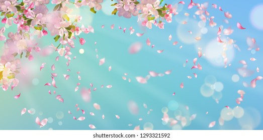 Flying petals on spring background. Flowers and petals in the wind. Vector background with plum or cherry blossom