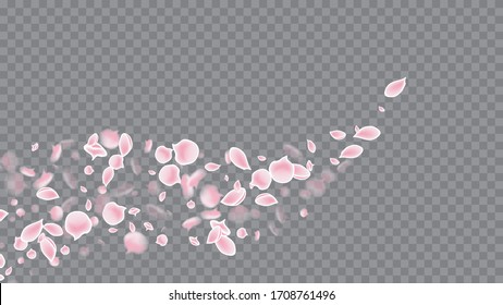 Flying Petals In Realistic Style. Spring Flowers Blooming. Colorful Poster On Soft Transparent Background. Pink on Transparent.