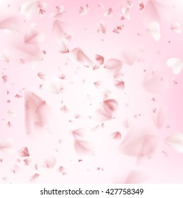 Flying petals of sakura. Spring collection. EPS 10 vector file included
