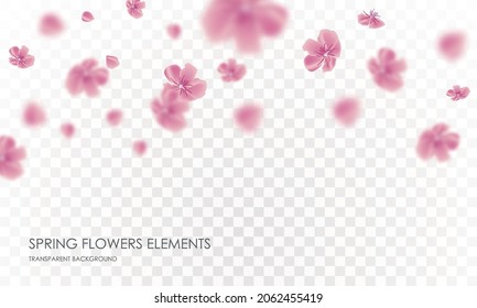 Flying petals and spring flowers
transparent background