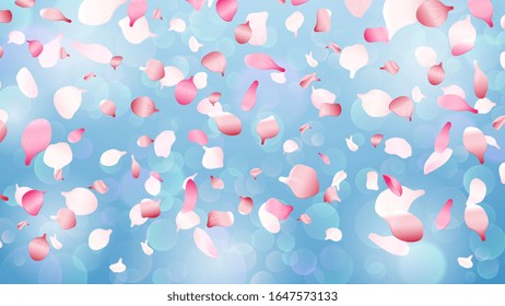 Flying petals. Spring romantic falling petal illustration. Blossom sakura, realistic nature elements with bokeh effect. Wedding festive vector background