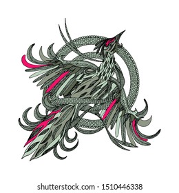 Flying Phoenix Bird Green Pink illustration with white background