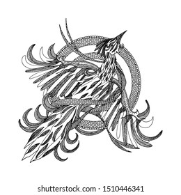 Flying Phoenix Bird Vector Black and White Line illustration with white background