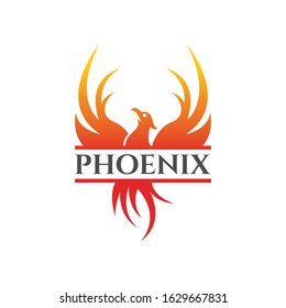 Flying Phoenix Fire Bird abstract Logo design vector template. Upward Dove Eagle Logotype concept icon. Vector high quality design