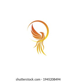 Flying Phoenix Fire Bird abstract Logo design vector template.